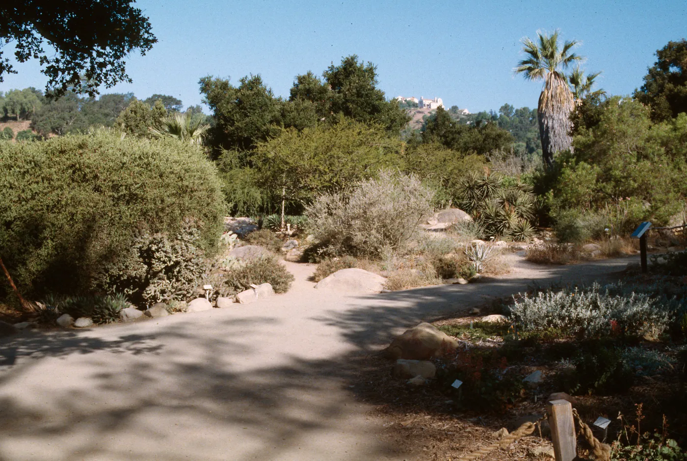 Desert section, SBBG