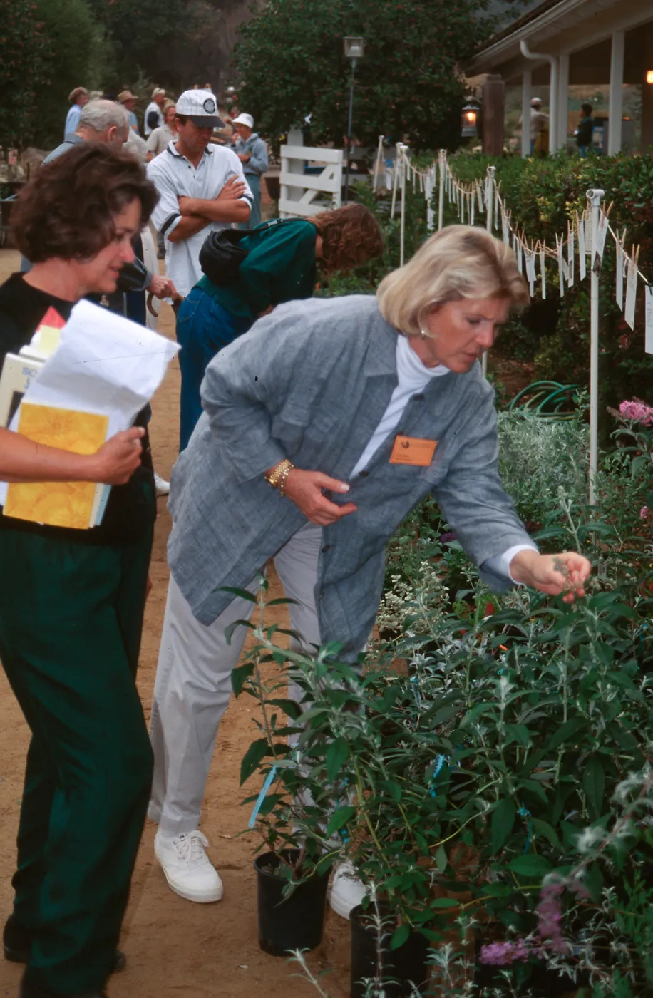 fall plant sale, SBBG