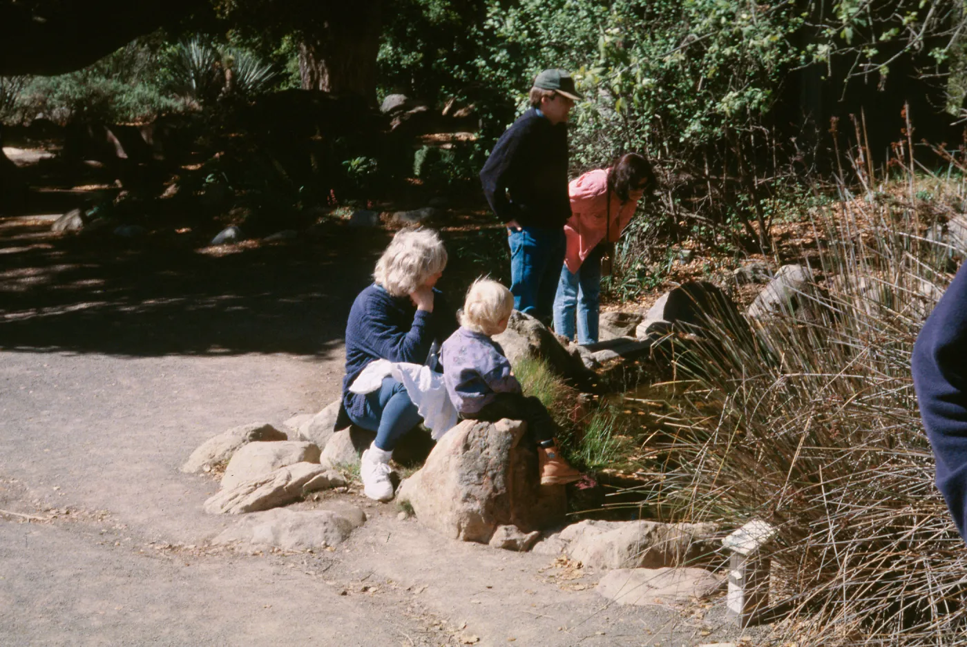Visitors at Pond