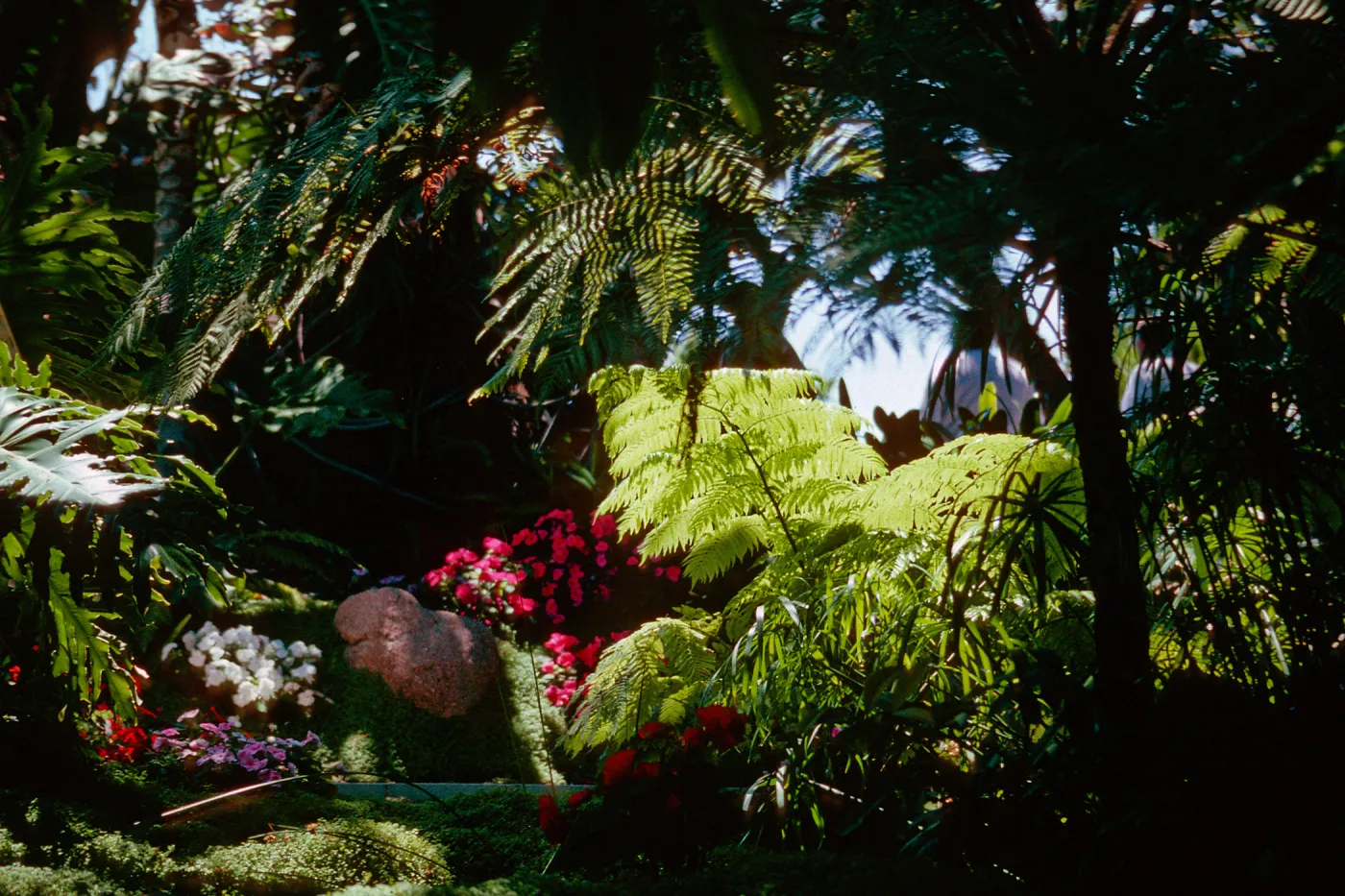 Self-Realization Gardens, Encinitas