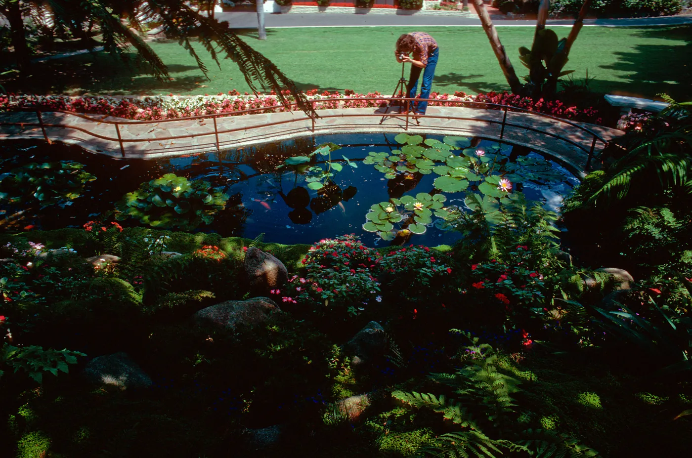 Self-Realization Garden