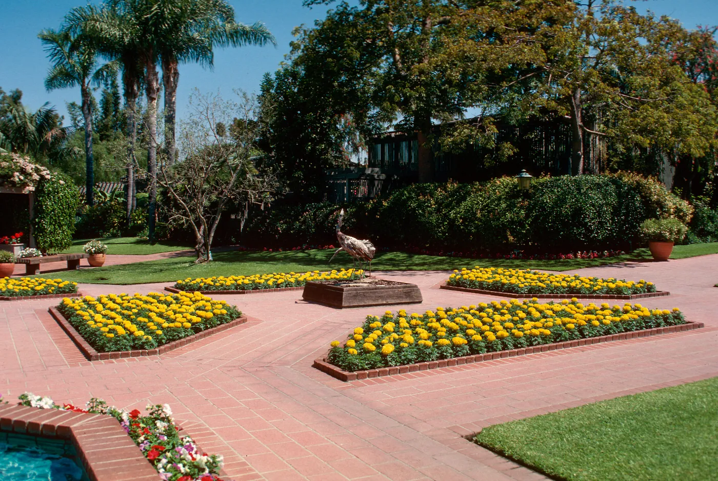 Sherman Library & Gardens, wood herons