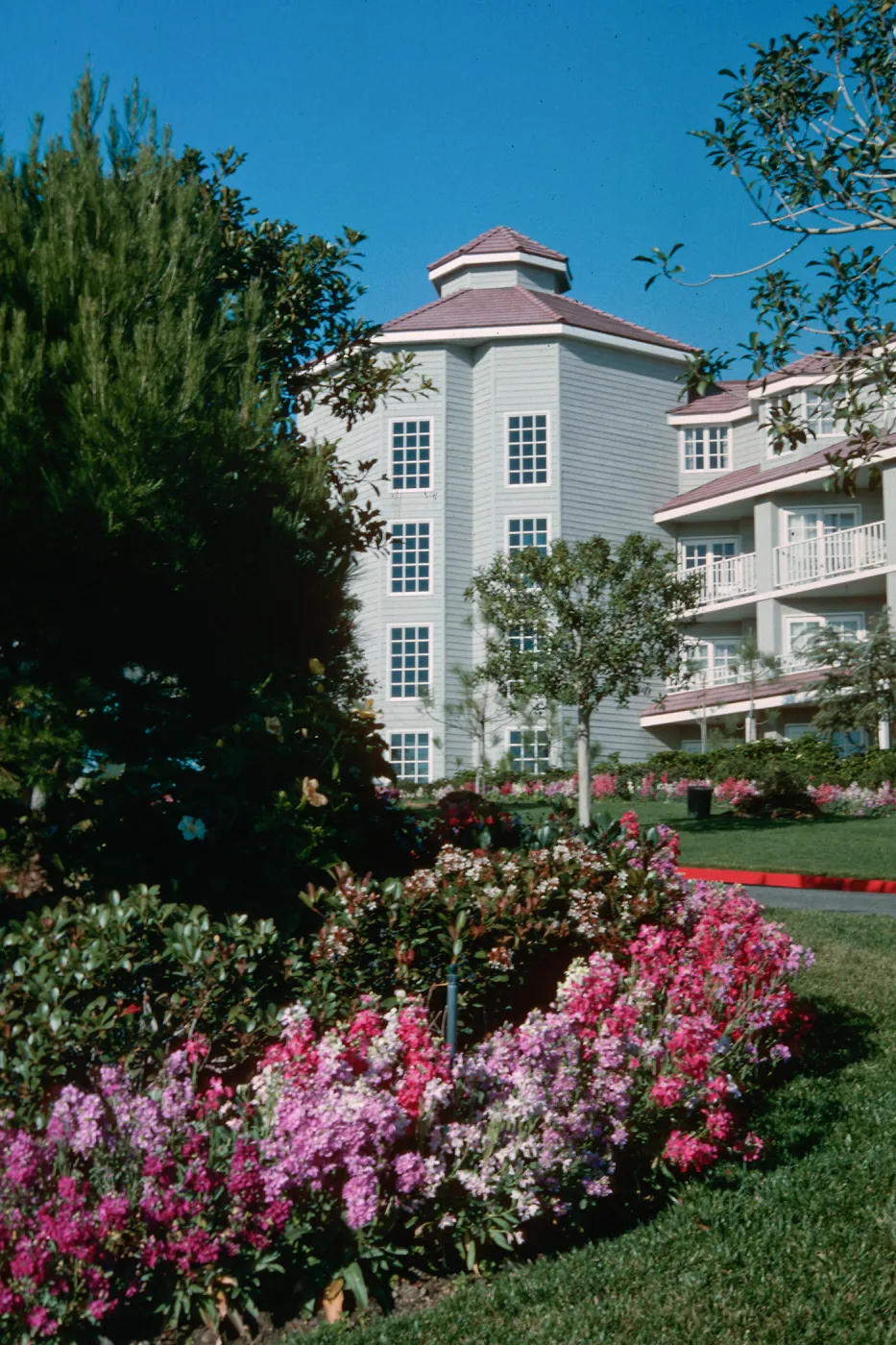 Dana Point resert hotel gardens