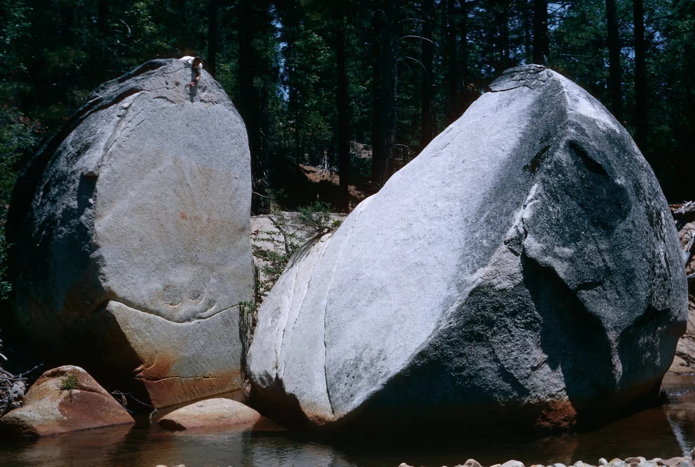 West fork, Chiquito Creek