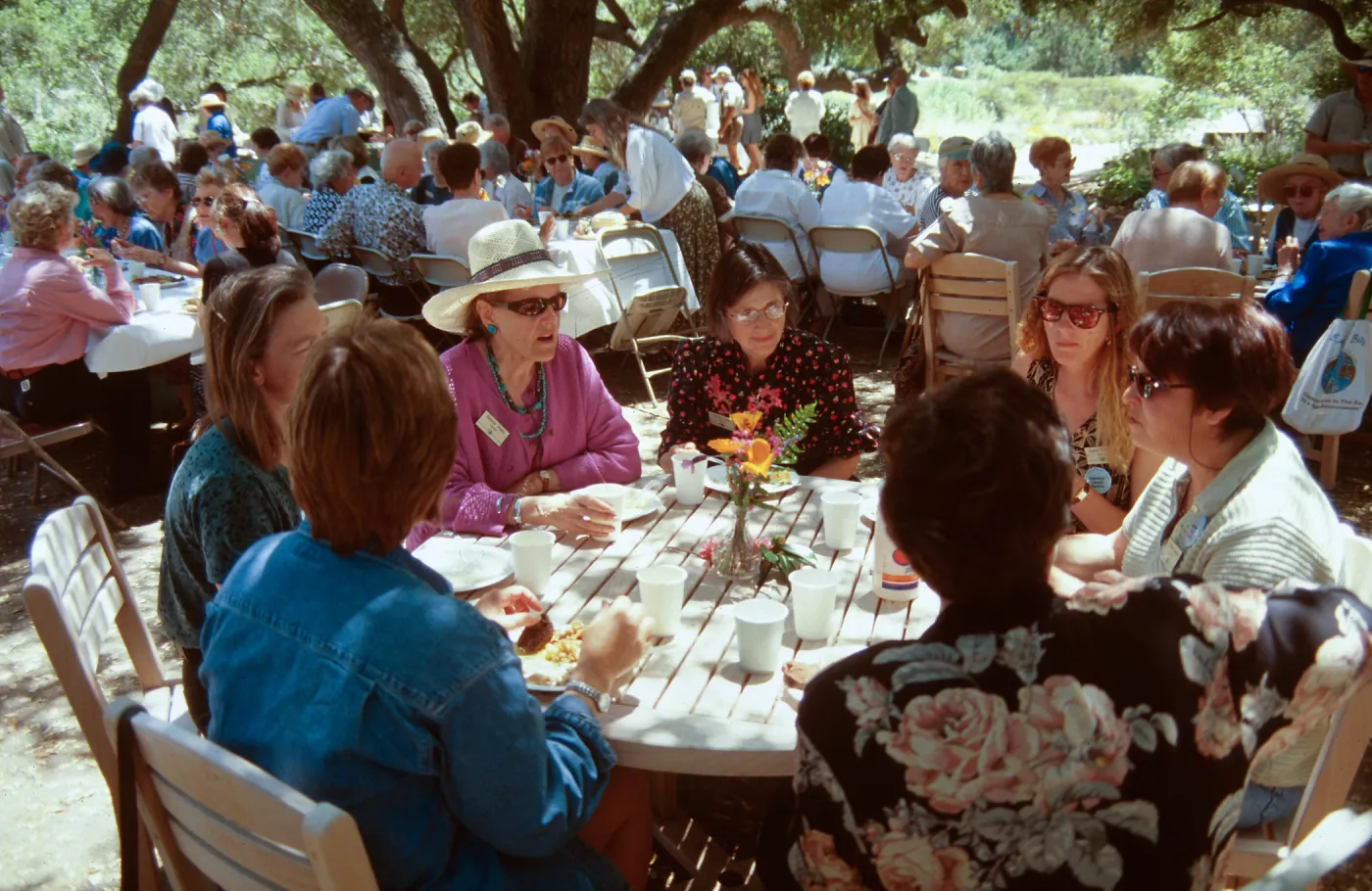 Volunteer luncheon