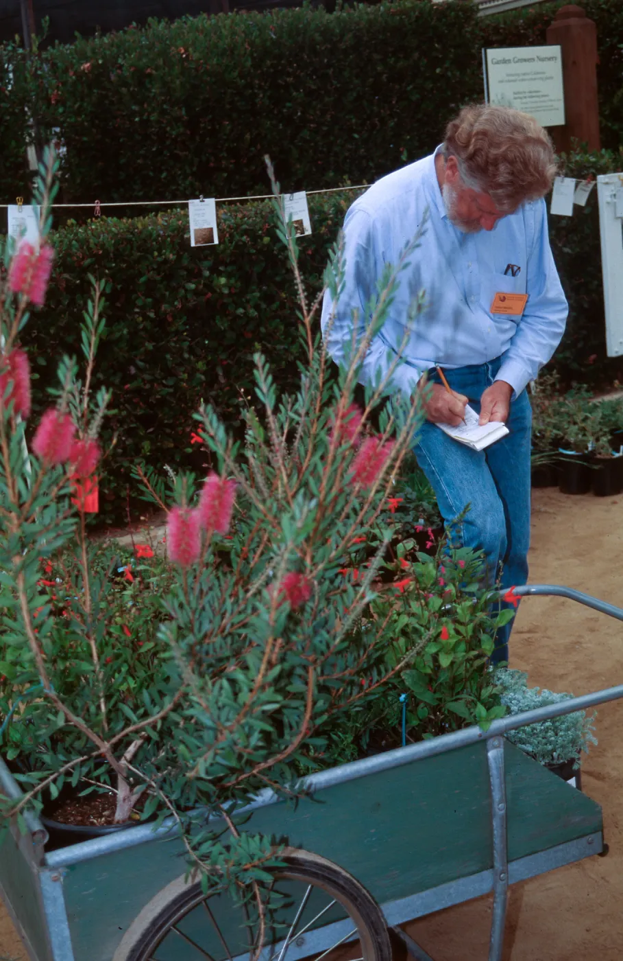 Fall Plant Sale