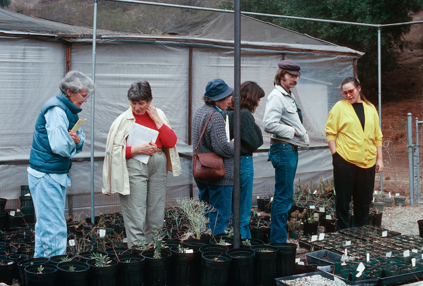 Garden Growers, Theodore Payne Garden, 1990