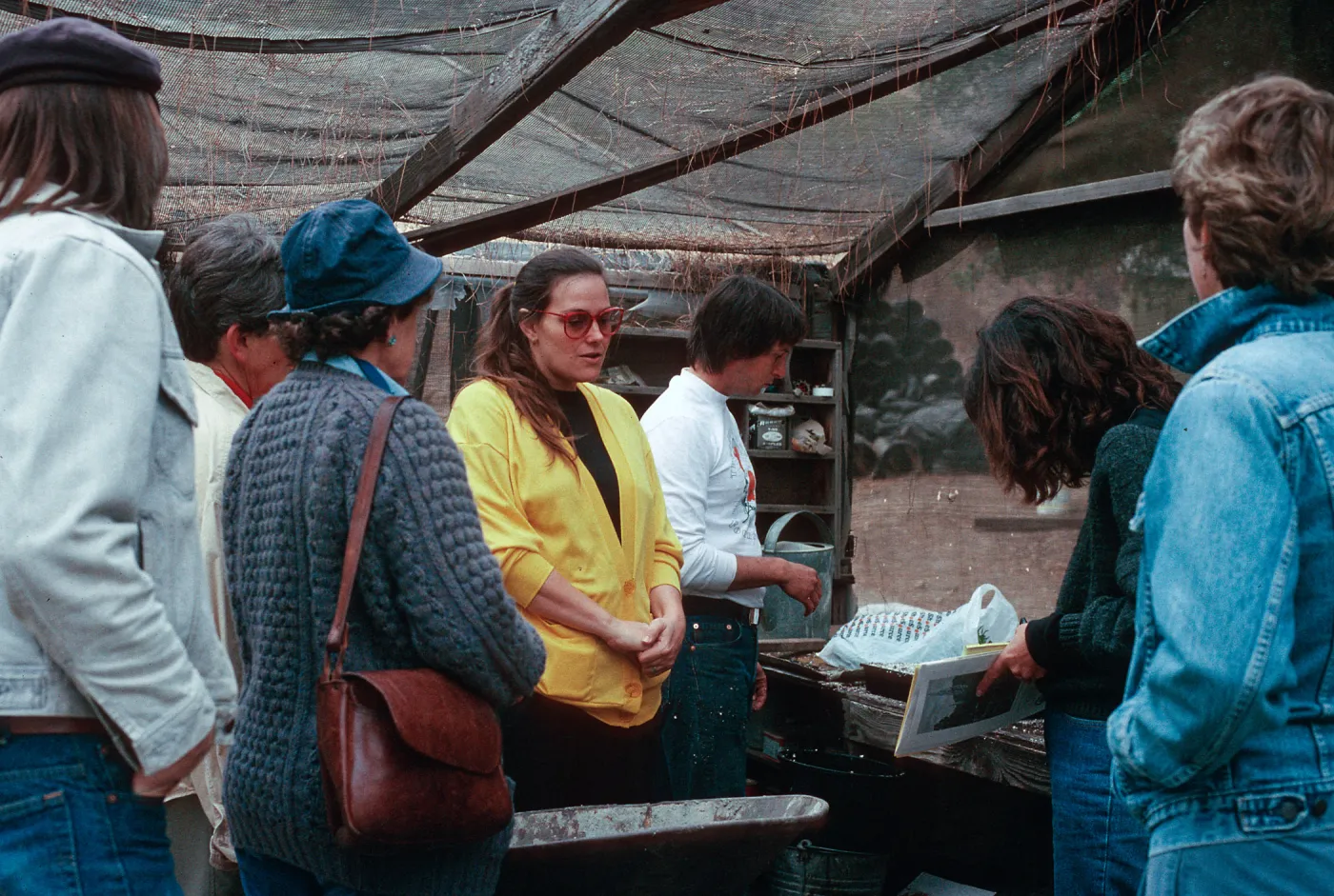 Growers, Theodore Payne, 1990