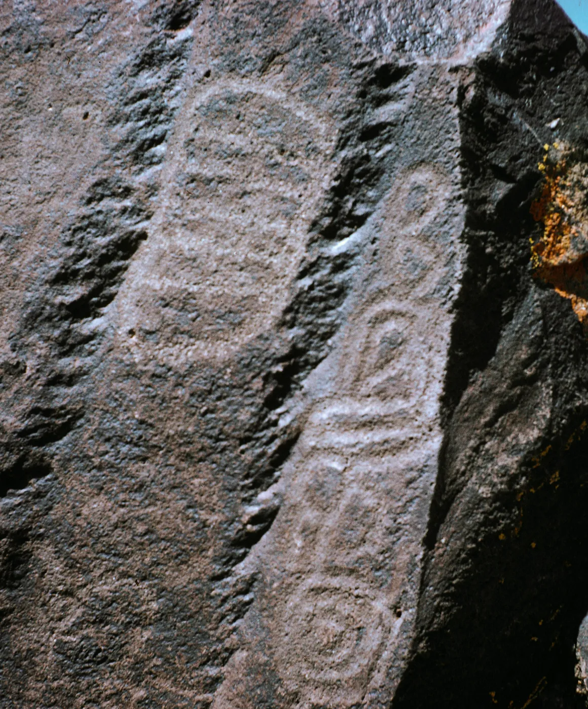 Field Trip, Big & Little Petroglyph Canyons