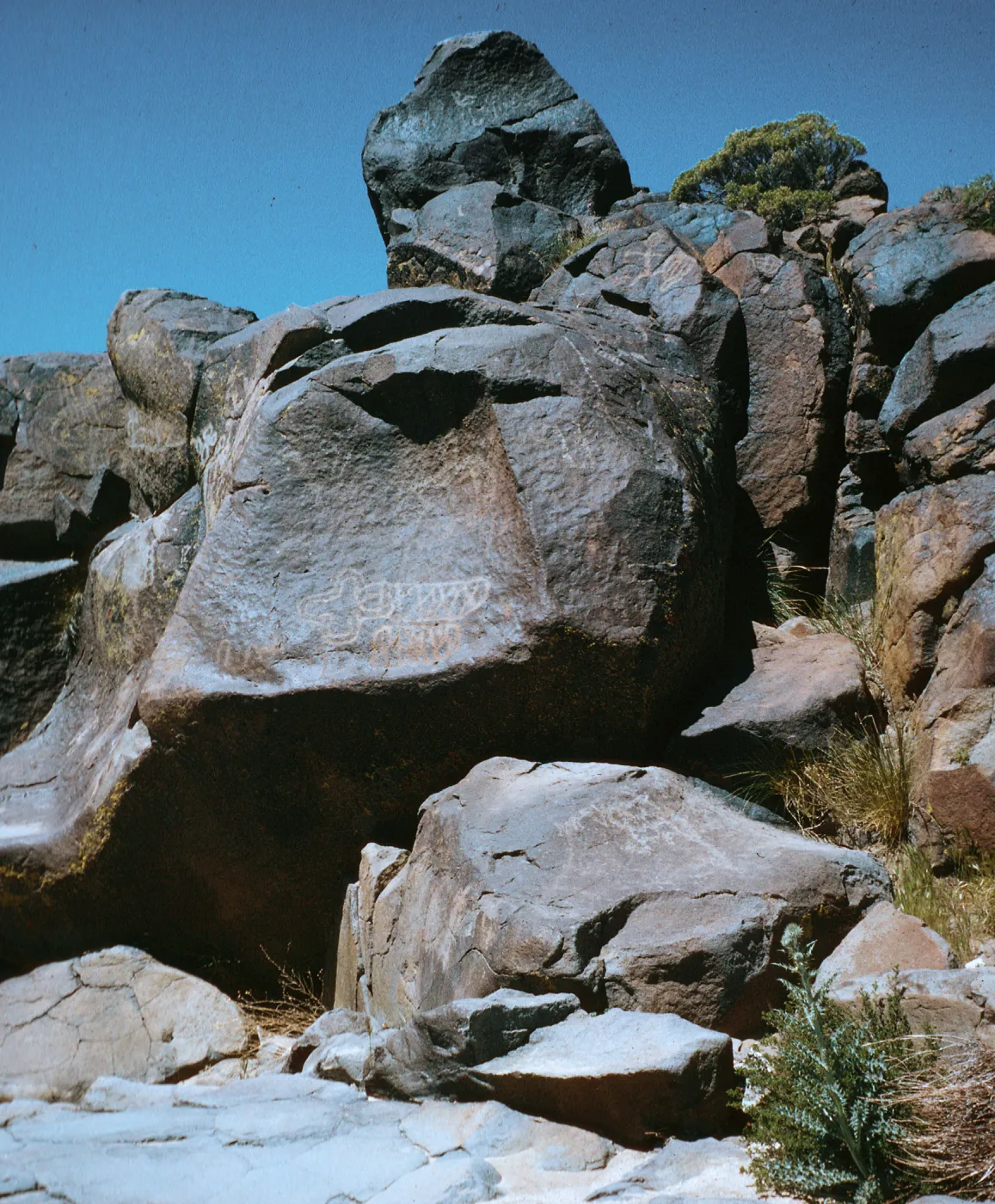 Field Trip, Big & Little Petroglyph Canyons