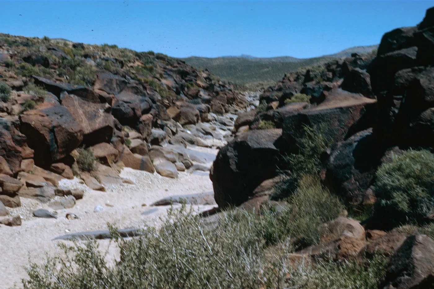 Field Trip, Big & Little Petroglyph Canyons
