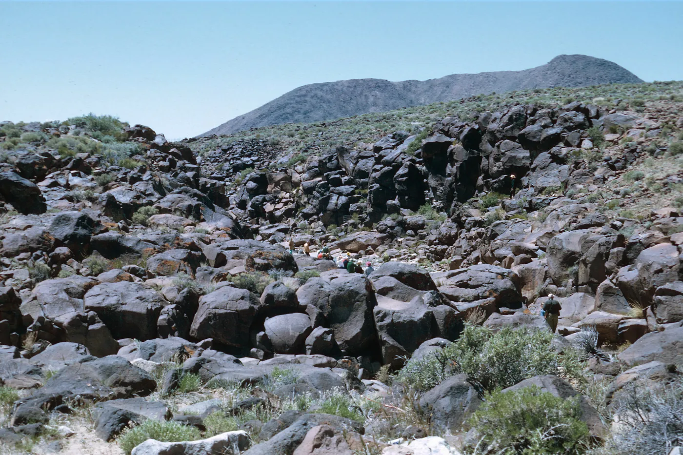 Field Trip, Big & Little Petroglyph Canyons