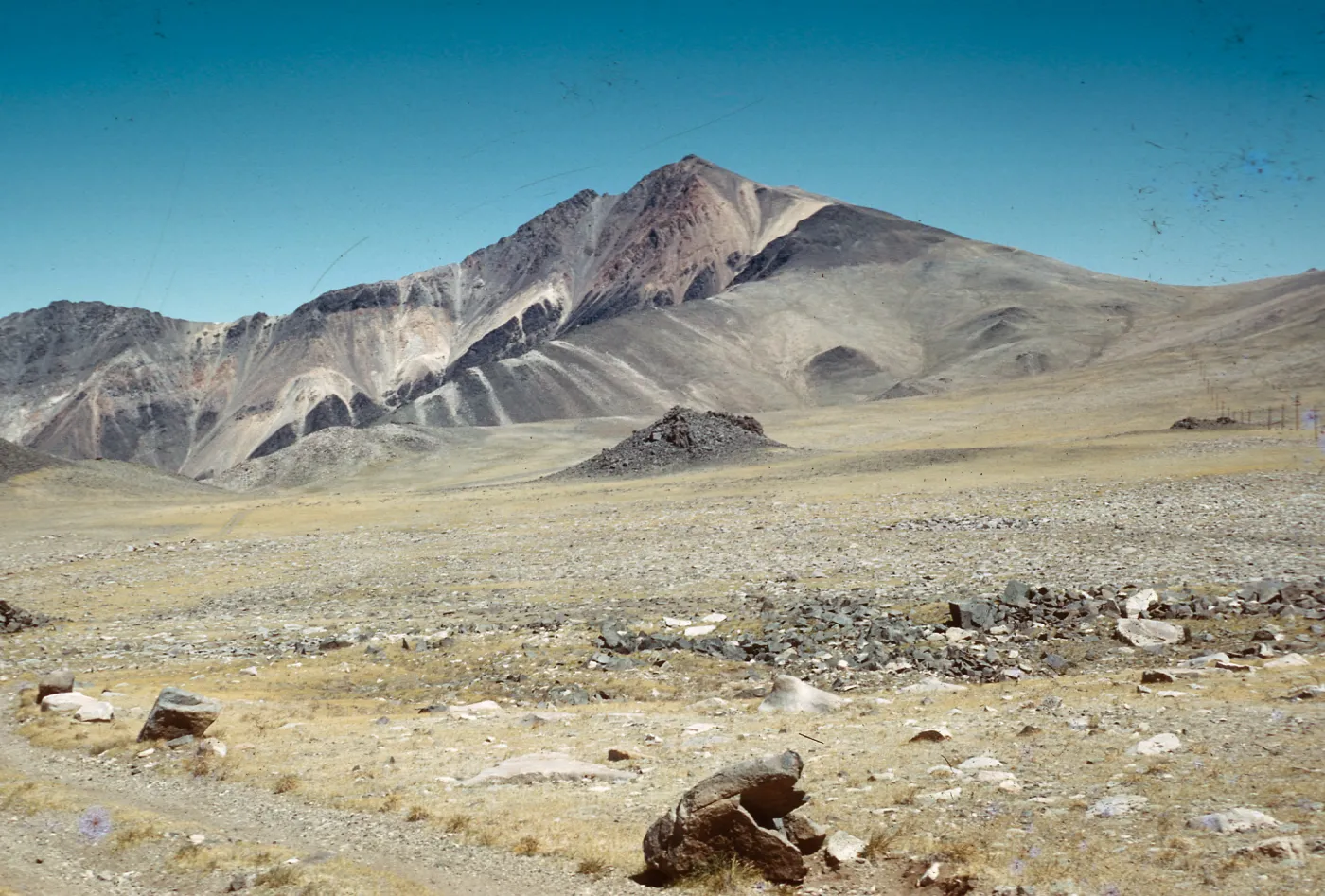 Trip to Ancient Bristlecone Forest, Inyo National Forest w/Neil Muller, 1960-68