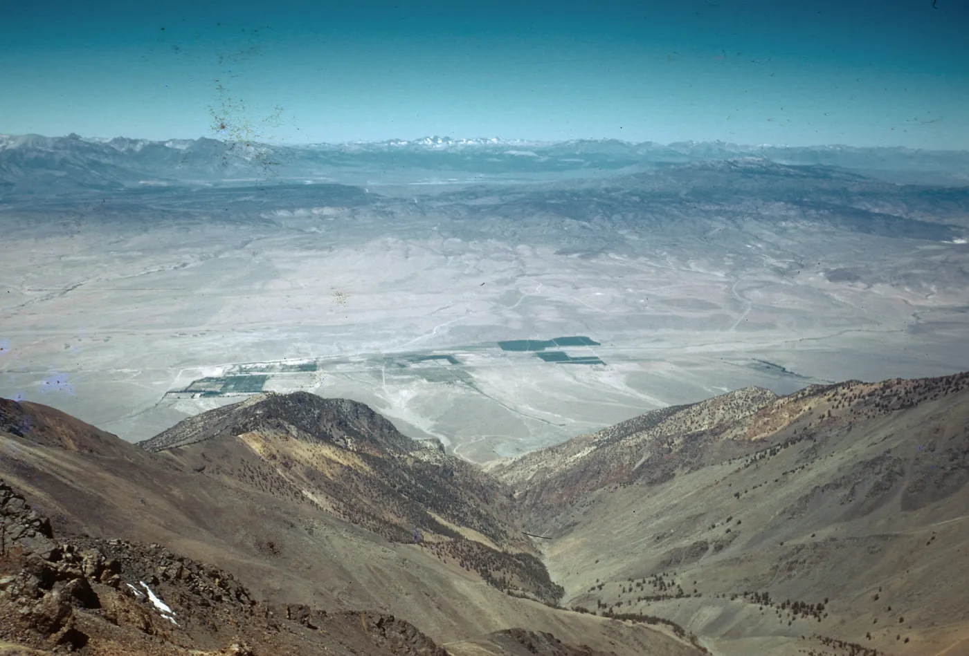 Trip to Ancient Bristlecone Forest, Inyo National Forest w/Neil Muller, 1960-68
