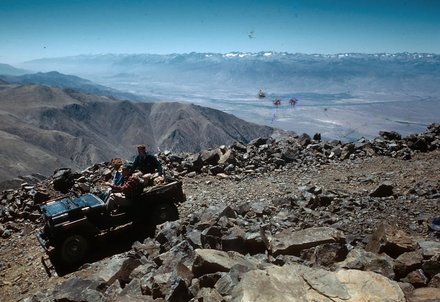 Trip to Ancient Bristlecone Forest, Inyo National Forest w/Neil Muller, 1960-68