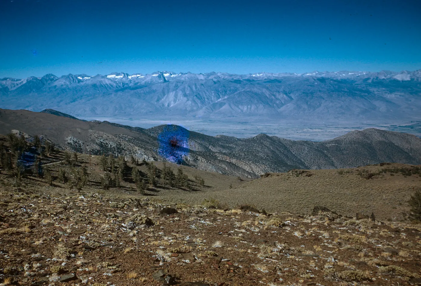 Trip to Ancient Bristlecone Forest, Inyo National Forest w/Neil Muller, 1960-68