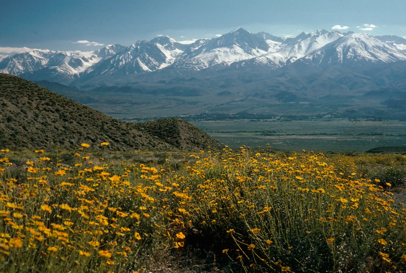 Sierra Nevada Crest, from Westgard Pass Road, Inyo National Forest
