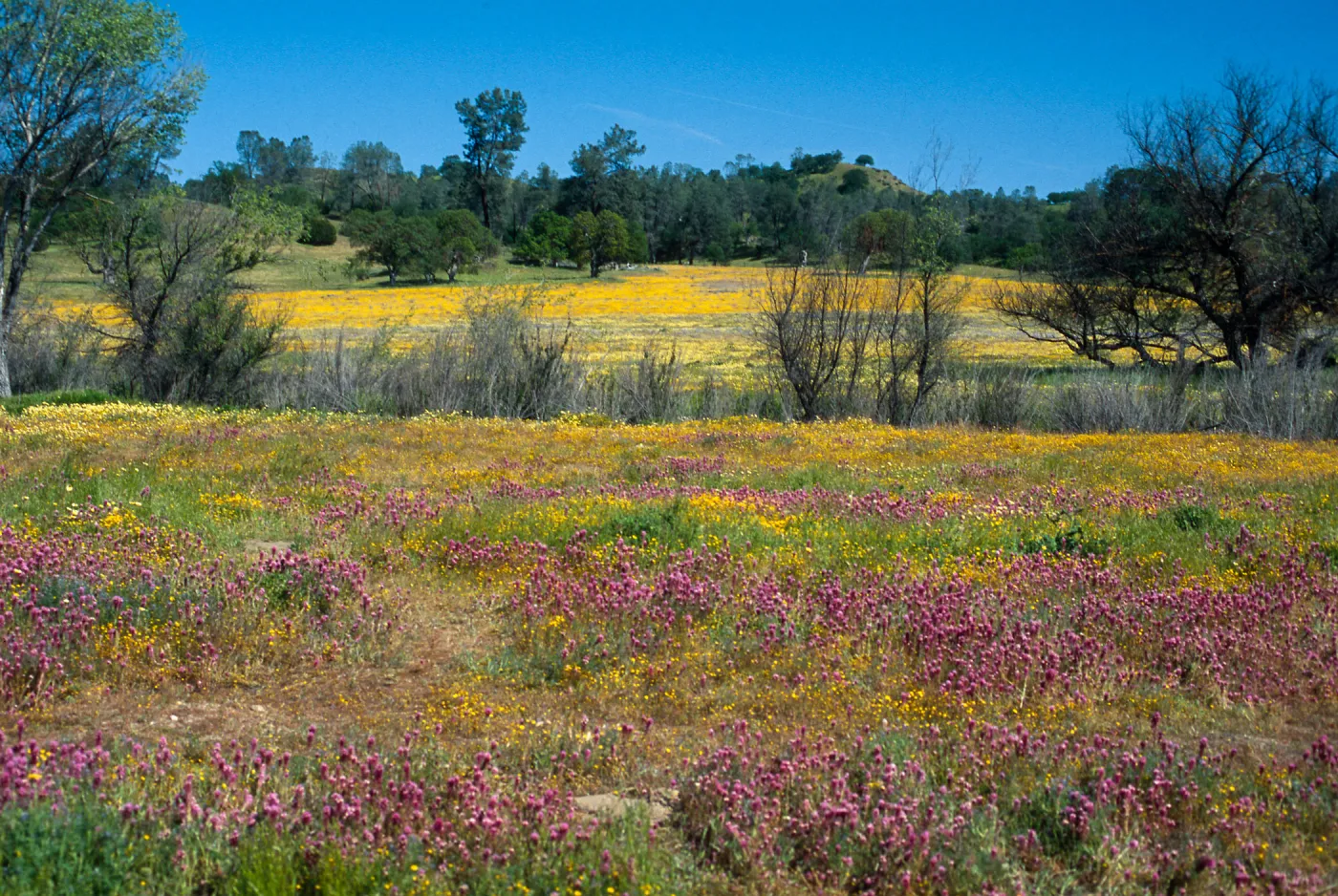 Shell Creek Road, South of Shandon, San Luis Obispo County