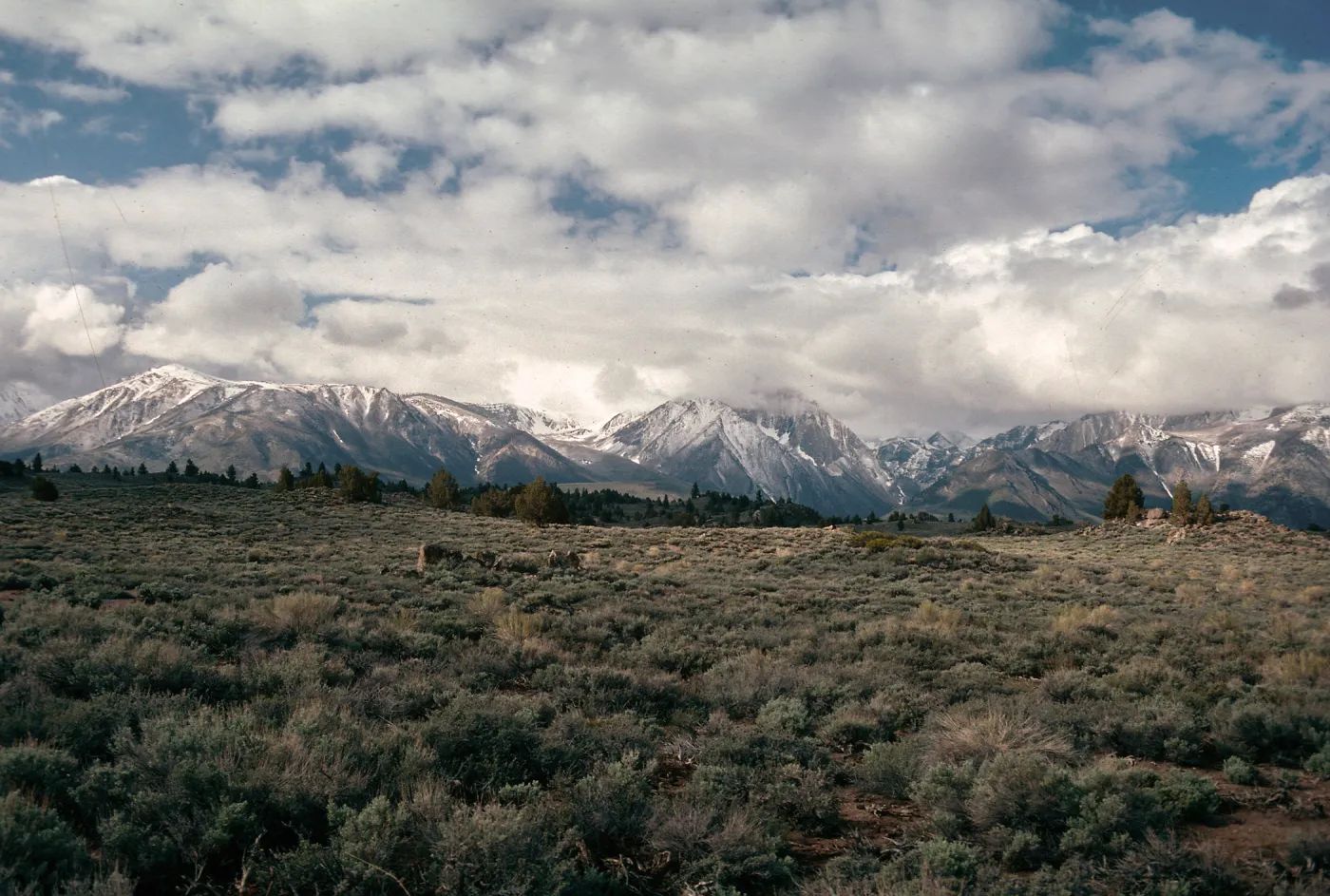 Sawtooth Range, from Stanley, Idaho, Custer County