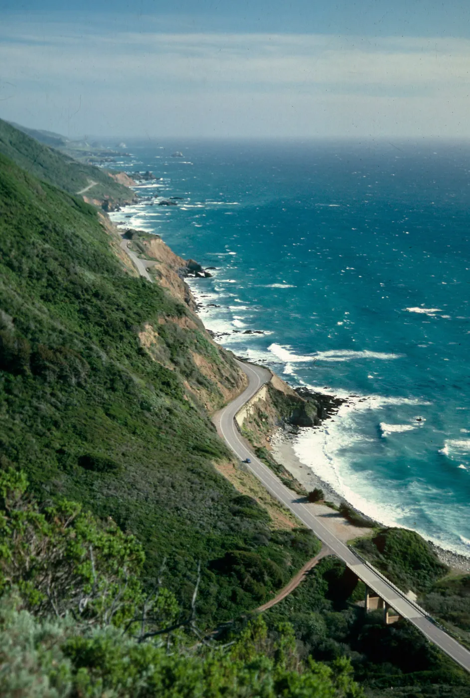 Central California coastal chaparral, Nacimiento Road, Monterey County