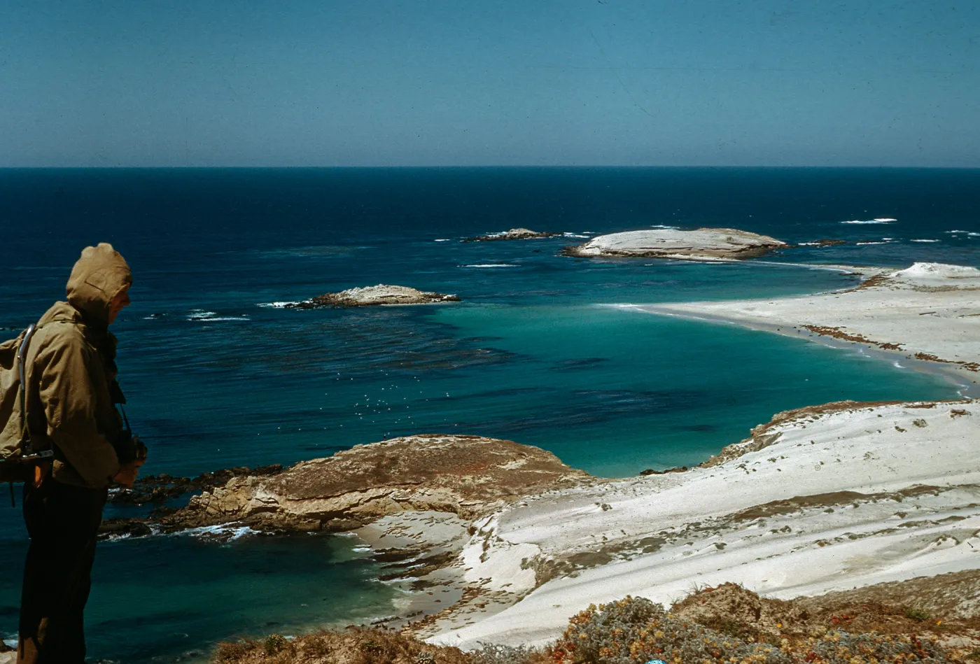 Landï¿½s end, W end, with Sea Elephant and Sea Lion colonies, San Miguel Island