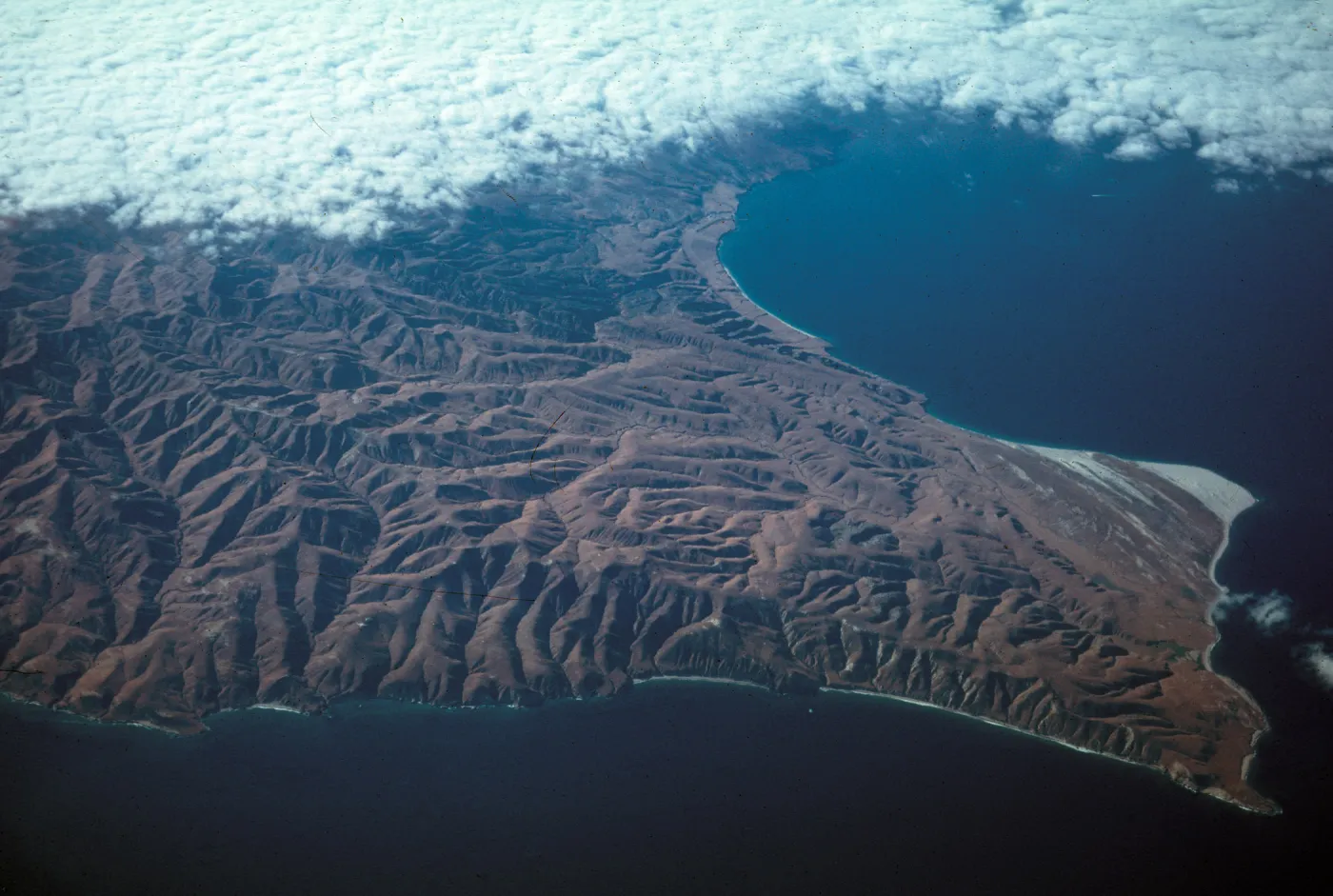 Santa Barbara Island, east end