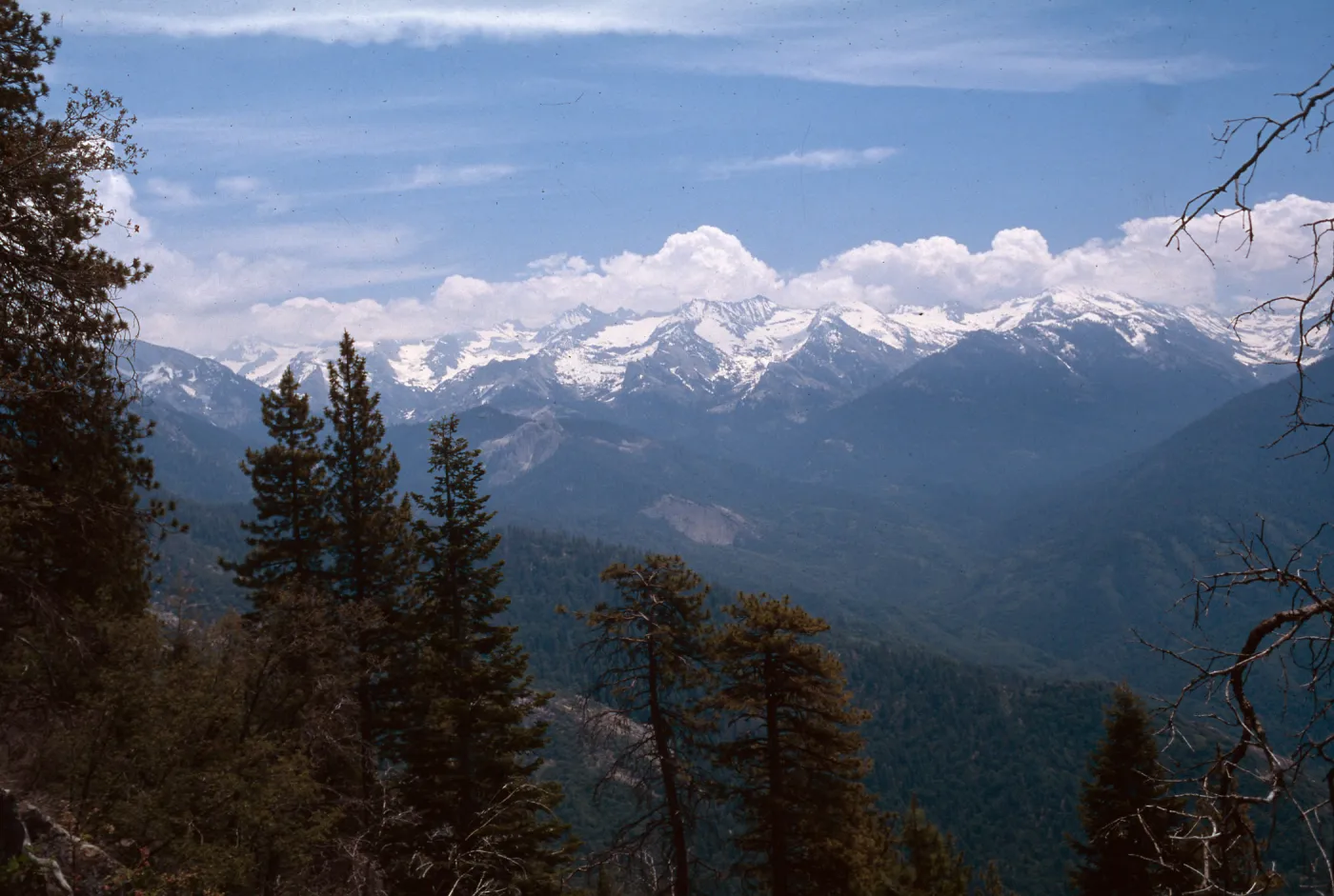 Sequoia National Park, Sierra Nevada