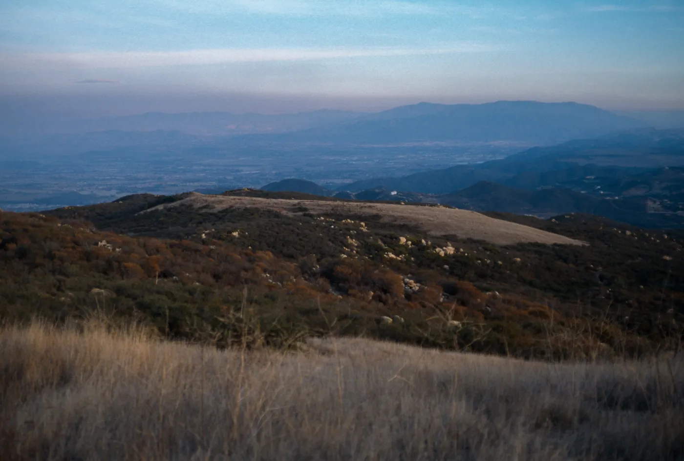 Allium munzii , Southern Santa Ana Mtns., Southeastern flank of Elsinore Peak at â€˜Onion Hill', a grassy knoll of clay soil c. 0.25 mi SE of radio towers, along old Main Divide Road track