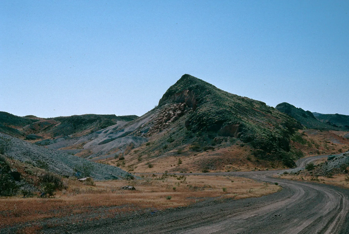 Schismus barbatus Noble Pass, Twenty-nine Palms, San Bernardino County 