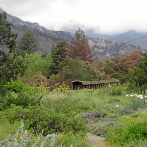 Roof of Herb Parker structure being planted after Jesusita fire