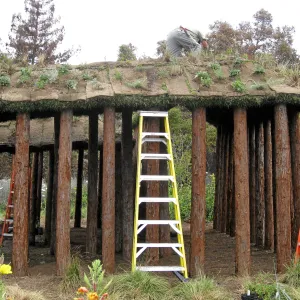 Roof of Herb Parker structure being planted