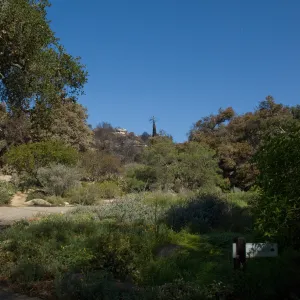 Santa Barbara Botanic Garden after the Jesusita Fire