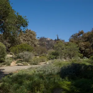 Santa Barbara Botanic Garden after the Jesusita Fire