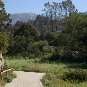 Santa Barbara Botanic Garden after the Jesusita Fire