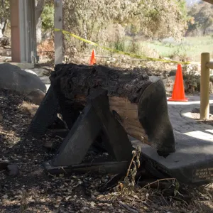 Santa Barbara Botanic Garden Richard S. Davis Bench after the Jesusita Fire, burned wood