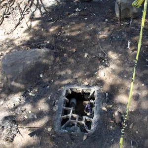 Santa Barbara Botanic Garden after the Jesusita Fire, melted irrigation box