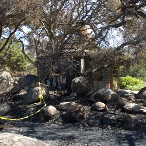 Santa Barbara Botanic Garden after the Jesusita Fire