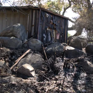 Santa Barbara Botanic Garden after the Jesusita Fire, burned Kiosk