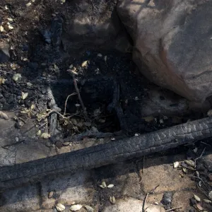 Santa Barbara Botanic Garden after the Jesusita Fire, melted irrigation box, burned railing