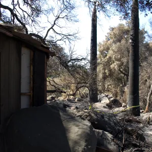 Santa Barbara Botanic Garden after the Jesusita Fire, burned Kiosk