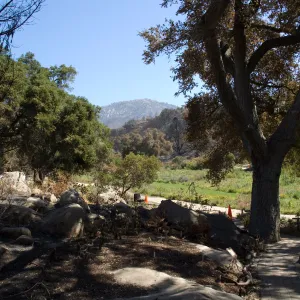 Santa Barbara Botanic Garden after the Jesusita Fire