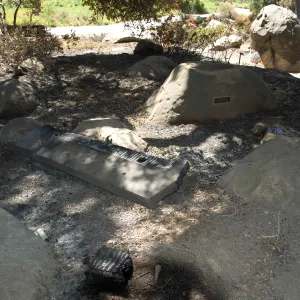 burned wood bench, Santa Barbara Botanic Garden after the Jesusita Fire