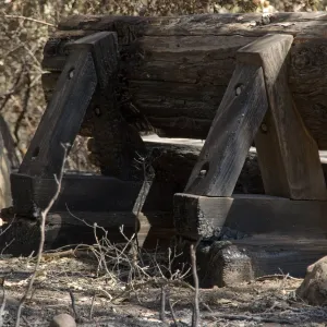 Santa Barbara Botanic Garden after the Jesusita Fire, burned wood bench