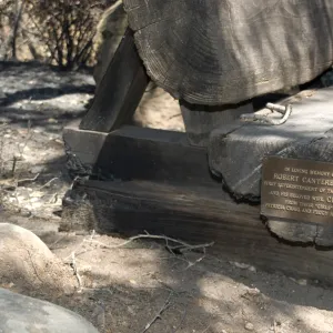 Robert Canterbury Bench, burned wood bench after the Jesusita Fire