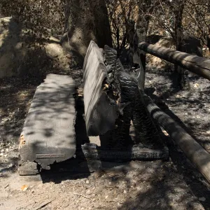 Sydney G. Gest Bench, wood bench burned in the Jesusita Fire