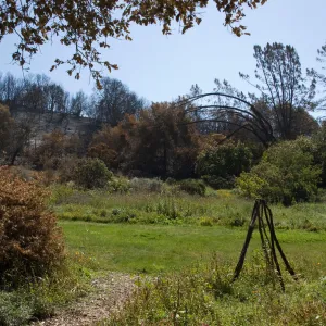 Santa Barbara Botanic Garden after the Jesusita Fire, burned vegetation surrounding Meadow
