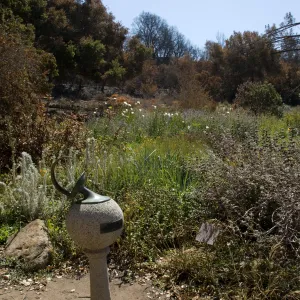Santa Barbara Botanic Garden after the Jesusita Fire, sundial, burned Meadow View