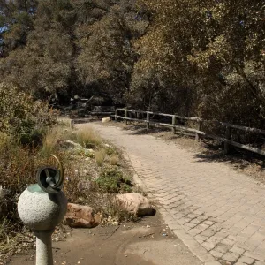 Santa Barbara Botanic Garden after the Jesusita Fire