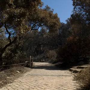 Santa Barbara Botanic Garden after the Jesusita Fire
