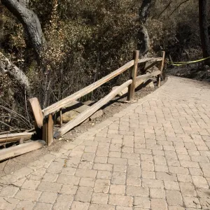 Santa Barbara Botanic Garden after the Jesusita Fire, burned railing at top of Redwood section